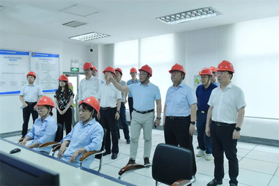 最高法咨詢(xún)委員會(huì)副主任兼秘書(shū)長(zhǎng)杜萬(wàn)華一行蒞臨澄星股份考察指導(dǎo)