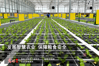 【光明圖刊】發(fā)展智慧農(nóng)業(yè) 保障糧食安全